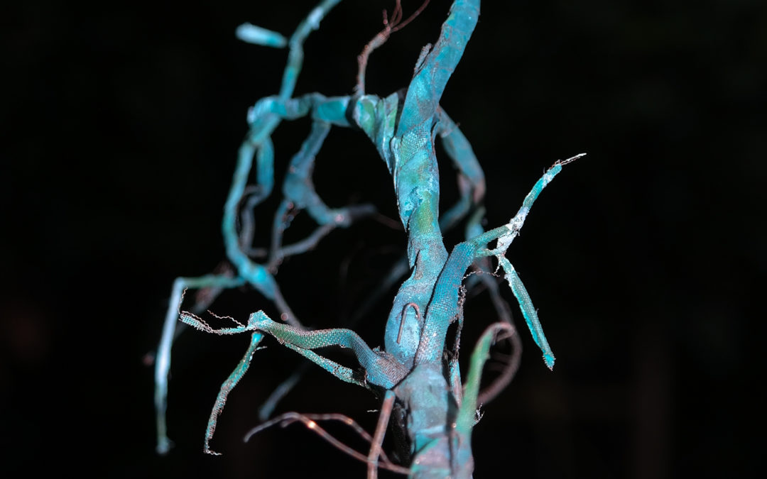 Pinned Limb (Hornbeam), Kirkdale, 2016